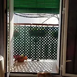 Casa Medina De Alba Appartement Conil De La Frontera